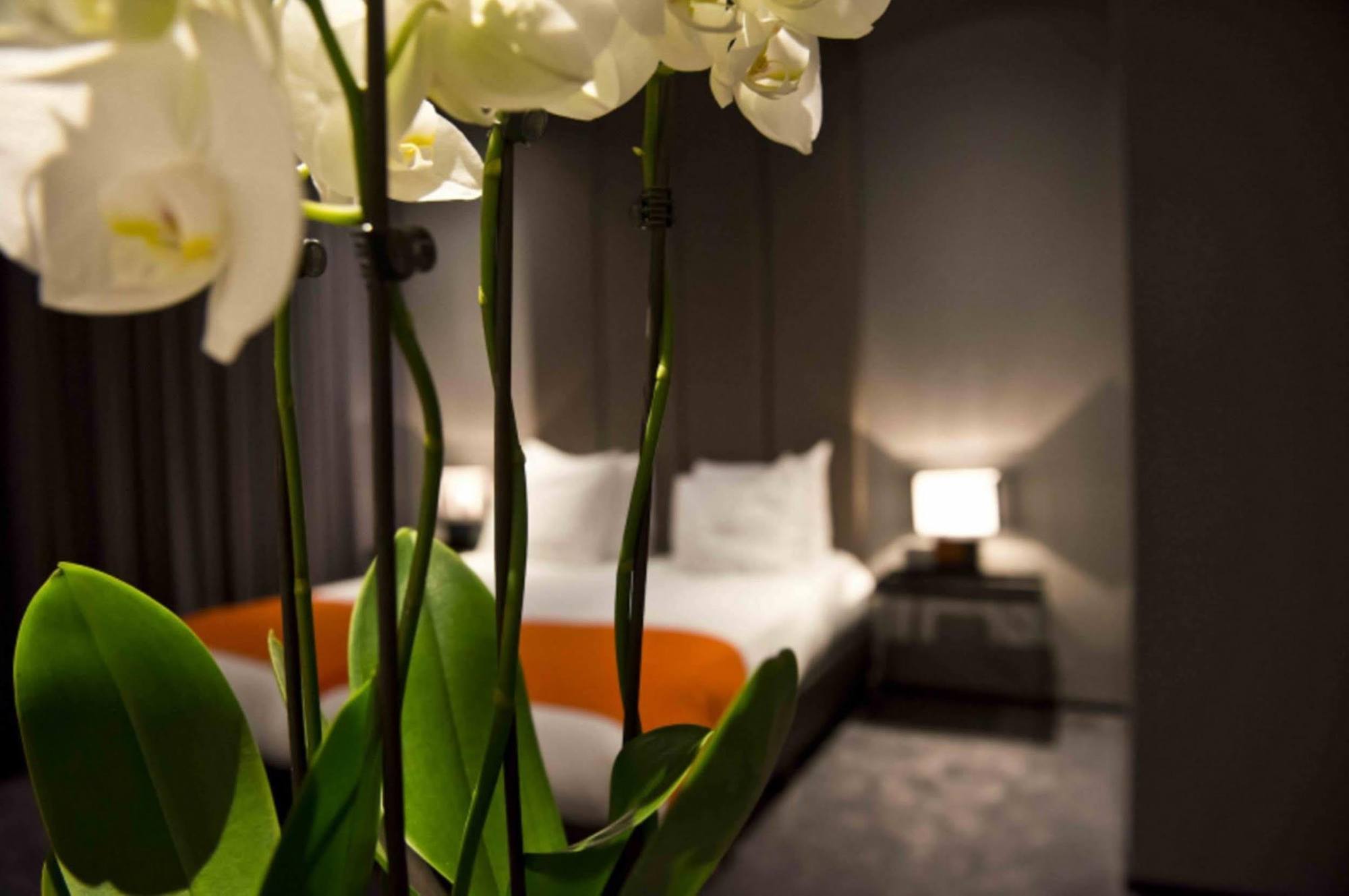 Design Glow Hotel 3*